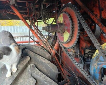 НИВА Інша, об'ємом двигуна 0 л та пробігом 0 тис. км за 4500 $, фото 9 на Automoto.ua