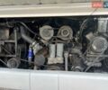 Білий Неоплан 116, об'ємом двигуна 14 л та пробігом 1 тис. км за 15900 $, фото 2 на Automoto.ua