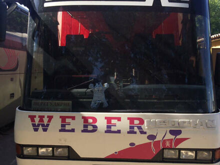 Белый Неоплан Н 213, объемом двигателя 10.96 л и пробегом 382 тыс. км за 10000 $, фото 1 на Automoto.ua