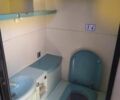 Белый Неоплан N 116, объемом двигателя 12 л и пробегом 8 тыс. км за 22000 $, фото 18 на Automoto.ua