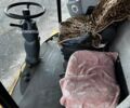 Жовтий Нью Холланд ЦСКС, об'ємом двигуна 0 л та пробігом 0 тис. км за 38610 $, фото 15 на Automoto.ua