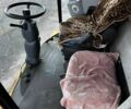 Нью Холланд Другая, объемом двигателя 8.7 л и пробегом 5 тыс. км за 38594 $, фото 18 на Automoto.ua