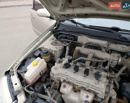 Бежевий Ніссан Альмера, об'ємом двигуна 1.6 л та пробігом 290 тис. км за 4100 $, фото 13 на Automoto.ua