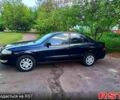 Черный Ниссан Альмера, объемом двигателя 1.6 л и пробегом 300 тыс. км за 3700 $, фото 1 на Automoto.ua