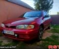 Красный Ниссан Альмера, объемом двигателя 1.4 л и пробегом 0 тыс. км за 1500 $, фото 1 на Automoto.ua