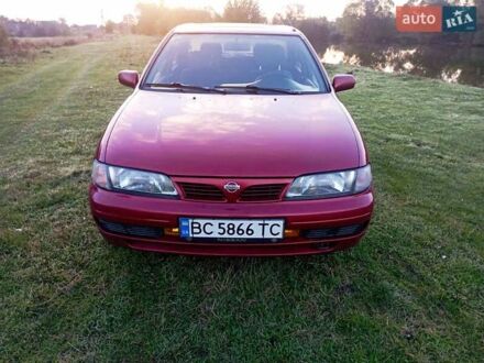 Красный Ниссан Альмера, объемом двигателя 1.39 л и пробегом 290 тыс. км за 2500 $, фото 1 на Automoto.ua