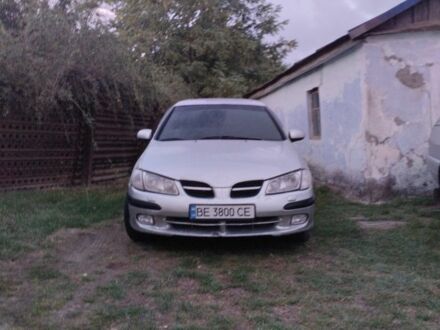 Ніссан Альмера 2002 у Вознесенске на Automoto.ua Сірий Ніссан Альмера, об'ємом двигуна 1.8 л та пробігом 260 тис. км за 2500 $, фото 1 на Automoto.ua