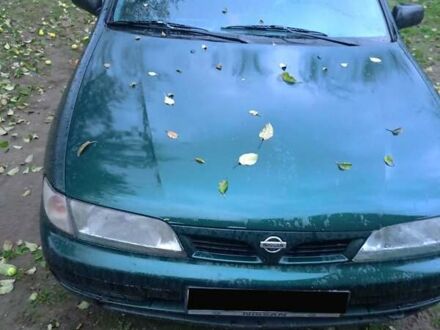 Синий Ниссан Альмера, объемом двигателя 1.4 л и пробегом 210 тыс. км за 1650 $, фото 1 на Automoto.ua