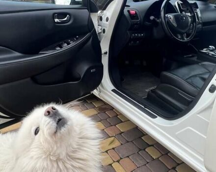 Білий Ніссан Ліф, об'ємом двигуна 0 л та пробігом 89 тис. км за 9500 $, фото 6 на Automoto.ua