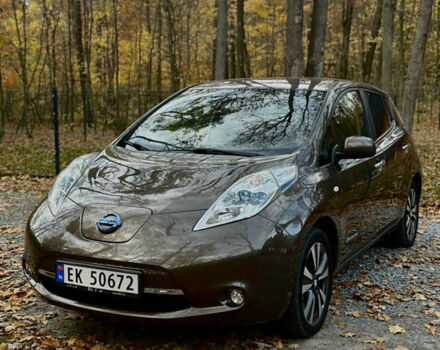 Коричневый Ниссан Лиф, объемом двигателя 0 л и пробегом 99 тыс. км за 8499 $, фото 3 на Automoto.ua