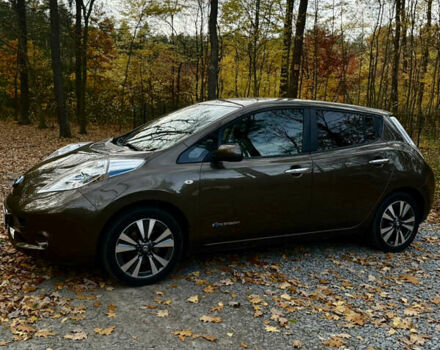 Коричневый Ниссан Лиф, объемом двигателя 0 л и пробегом 99 тыс. км за 8499 $, фото 4 на Automoto.ua