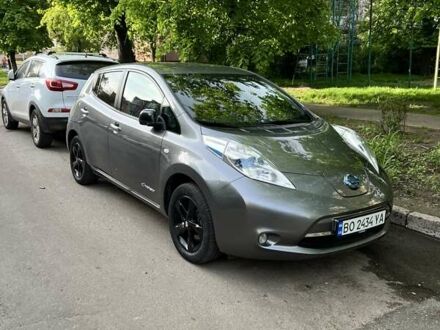 Ниссан Лиф, объемом двигателя 0 л и пробегом 66 тыс. км за 10000 $, фото 1 на Automoto.ua