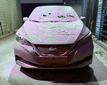 Сірий Ніссан Ліф, об'ємом двигуна 0 л та пробігом 66 тис. км за 16999 $, фото 20 на Automoto.ua