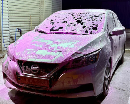 Сірий Ніссан Ліф, об'ємом двигуна 0 л та пробігом 66 тис. км за 16999 $, фото 18 на Automoto.ua