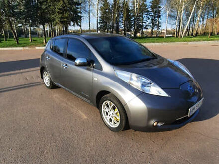 Сірий Ніссан Ліф, об'ємом двигуна 0 л та пробігом 163 тис. км за 7300 $, фото 1 на Automoto.ua