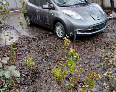 Серый Ниссан Лиф, объемом двигателя 80 л и пробегом 10000 тыс. км за 4700 $, фото 1 на Automoto.ua