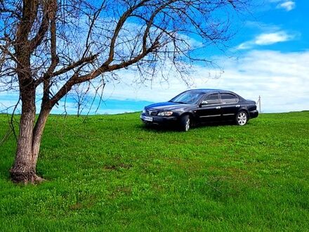 Ніссан Максіма 2003 у Одесі на Automoto.ua Чорний Ніссан Максіма, об'ємом двигуна 2 л та пробігом 390 тис. км за 3700 $, фото 1 на Automoto.ua