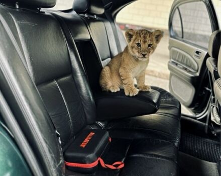 Зеленый Ниссан Максима, объемом двигателя 3 л и пробегом 250 тыс. км за 2200 $, фото 9 на Automoto.ua