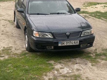 Ніссан Максіма 1995 у Рівному на Automoto.ua Зелений Ніссан Максіма, об'ємом двигуна 2 л та пробігом 270 тис. км за 1450 $, фото 1 на Automoto.ua