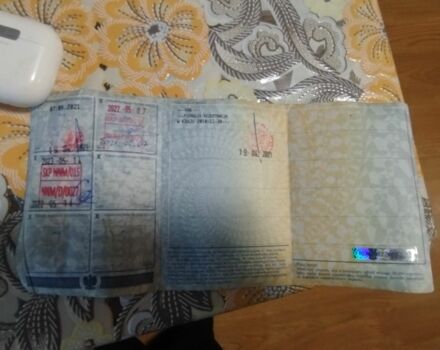 Зеленый Ниссан Навара, объемом двигателя 2.5 л и пробегом 360 тыс. км за 4500 $, фото 7 на Automoto.ua