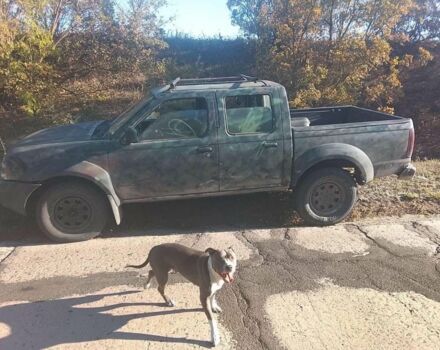 Ниссан Навара 2005 в Одессе на Automoto.ua Зеленый Ниссан Навара, объемом двигателя 0 л и пробегом 250 тыс. км за 2388 $, фото 1 на Automoto.ua