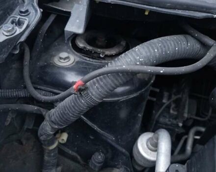 Ніссан Ноут 2006 у Києві на Automoto.ua Чорний Ніссан Ноут, об'ємом двигуна 1.6 л та пробігом 226 тис. км за 6000 $, фото 24 на Automoto.ua