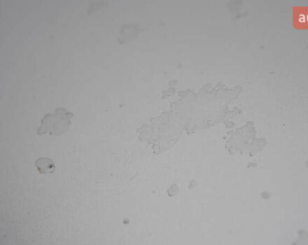 Серый Ниссан Ноут, объемом двигателя 1.6 л и пробегом 215 тыс. км за 6000 $, фото 47 на Automoto.ua