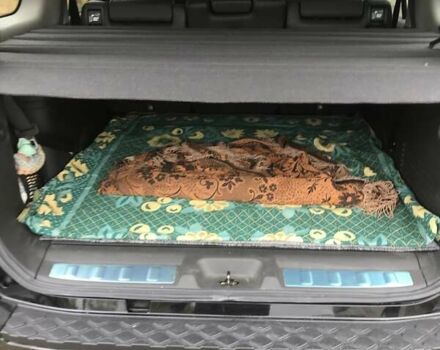 Черный Ниссан Патфайндер, объемом двигателя 2.5 л и пробегом 4 тыс. км за 31500 $, фото 17 на Automoto.ua