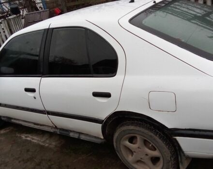 Белый Ниссан Примера, объемом двигателя 1.5 л и пробегом 200 тыс. км за 750 $, фото 4 на Automoto.ua