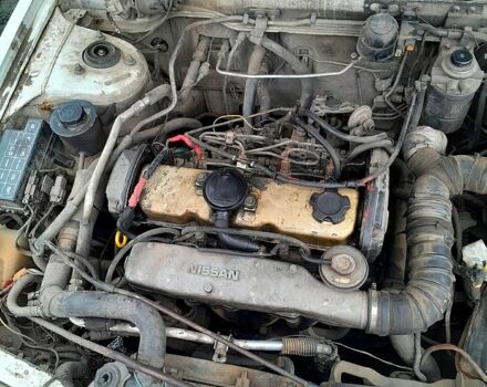 Белый Ниссан Примера, объемом двигателя 2 л и пробегом 0 тыс. км за 1110 $, фото 6 на Automoto.ua