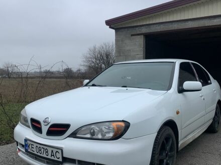 Ниссан Примера 2001 в Петриковке на Automoto.ua Белый Ниссан Примера, объемом двигателя 1.6 л и пробегом 220 тыс. км за 2600 $, фото 1 на Automoto.ua
