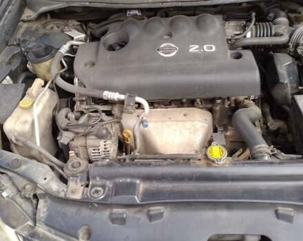 Черный Ниссан Примера, объемом двигателя 2 л и пробегом 250 тыс. км за 3850 $, фото 7 на Automoto.ua