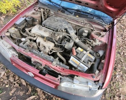 Красный Ниссан Примера, объемом двигателя 1.6 л и пробегом 200 тыс. км за 2000 $, фото 2 на Automoto.ua