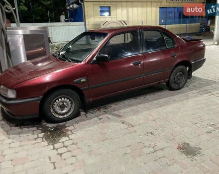 Красный Ниссан Примера, объемом двигателя 1.6 л и пробегом 300 тыс. км за 600 $, фото 1 на Automoto.ua