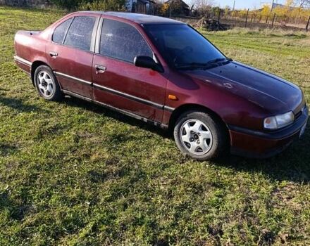 Червоний Ніссан Прімера, об'ємом двигуна 2 л та пробігом 486 тис. км за 1600 $, фото 15 на Automoto.ua