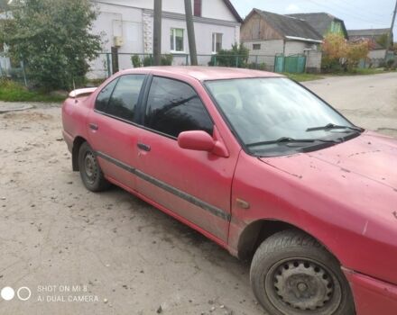 Красный Ниссан Примера, объемом двигателя 1.6 л и пробегом 244 тыс. км за 670 $, фото 1 на Automoto.ua