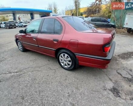 Красный Ниссан Примера, объемом двигателя 1.6 л и пробегом 250 тыс. км за 2800 $, фото 4 на Automoto.ua