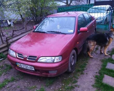 Червоний Ніссан Прімера, об'ємом двигуна 1.6 л та пробігом 350 тис. км за 2100 $, фото 1 на Automoto.ua