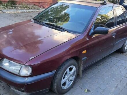Ниссан Примера 1991 в Одессе на Automoto.ua Красный Ниссан Примера, объемом двигателя 1.6 л и пробегом 220 тыс. км за 1800 $, фото 1 на Automoto.ua