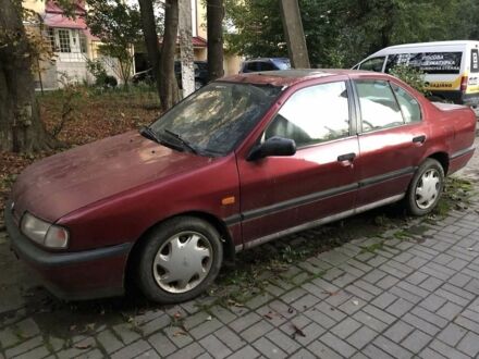 Ниссан Примера 1993 в Ивано-Франковске на Automoto.ua Красный Ниссан Примера, объемом двигателя 1.6 л и пробегом 270 тыс. км за 1200 $, фото 1 на Automoto.ua