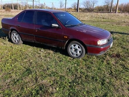 Червоний Ніссан Прімера, об'ємом двигуна 2 л та пробігом 486 тис. км за 1600 $, фото 1 на Automoto.ua
