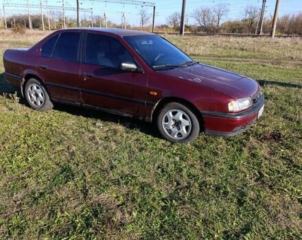 Червоний Ніссан Прімера, об'ємом двигуна 2 л та пробігом 486 тис. км за 1600 $, фото 1 на Automoto.ua