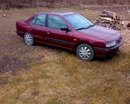 Ниссан Примера, объемом двигателя 16 л и пробегом 354 тыс. км за 850 $, фото 6 на Automoto.ua