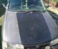 Сірий Ніссан Прімера, об'ємом двигуна 2 л та пробігом 450 тис. км за 969 $, фото 1 на Automoto.ua