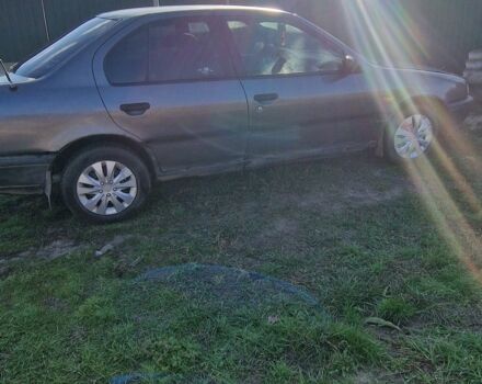 Серый Ниссан Примера, объемом двигателя 1.6 л и пробегом 300 тыс. км за 1500 $, фото 1 на Automoto.ua