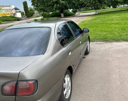 Серый Ниссан Примера, объемом двигателя 1.6 л и пробегом 267 тыс. км за 2350 $, фото 3 на Automoto.ua