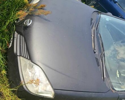 Ніссан Прімера 2003 у Маневичах на Automoto.ua Сірий Ніссан Прімера, об'ємом двигуна 1.9 л та пробігом 205 тис. км за 777 $, фото 1 на Automoto.ua