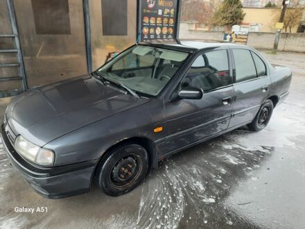 Серый Ниссан Примера, объемом двигателя 1.6 л и пробегом 280 тыс. км за 1000 $, фото 1 на Automoto.ua