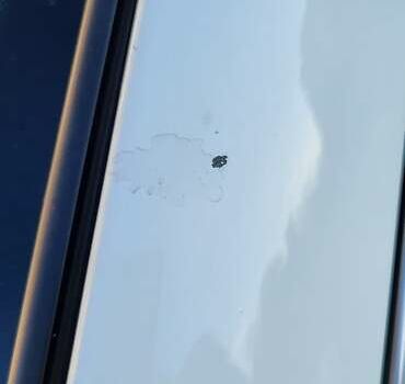 Белый Ниссан Кашкай, объемом двигателя 1.6 л и пробегом 74 тыс. км за 21500 $, фото 5 на Automoto.ua