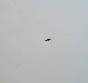 Белый Ниссан Кашкай, объемом двигателя 1.6 л и пробегом 74 тыс. км за 21500 $, фото 7 на Automoto.ua